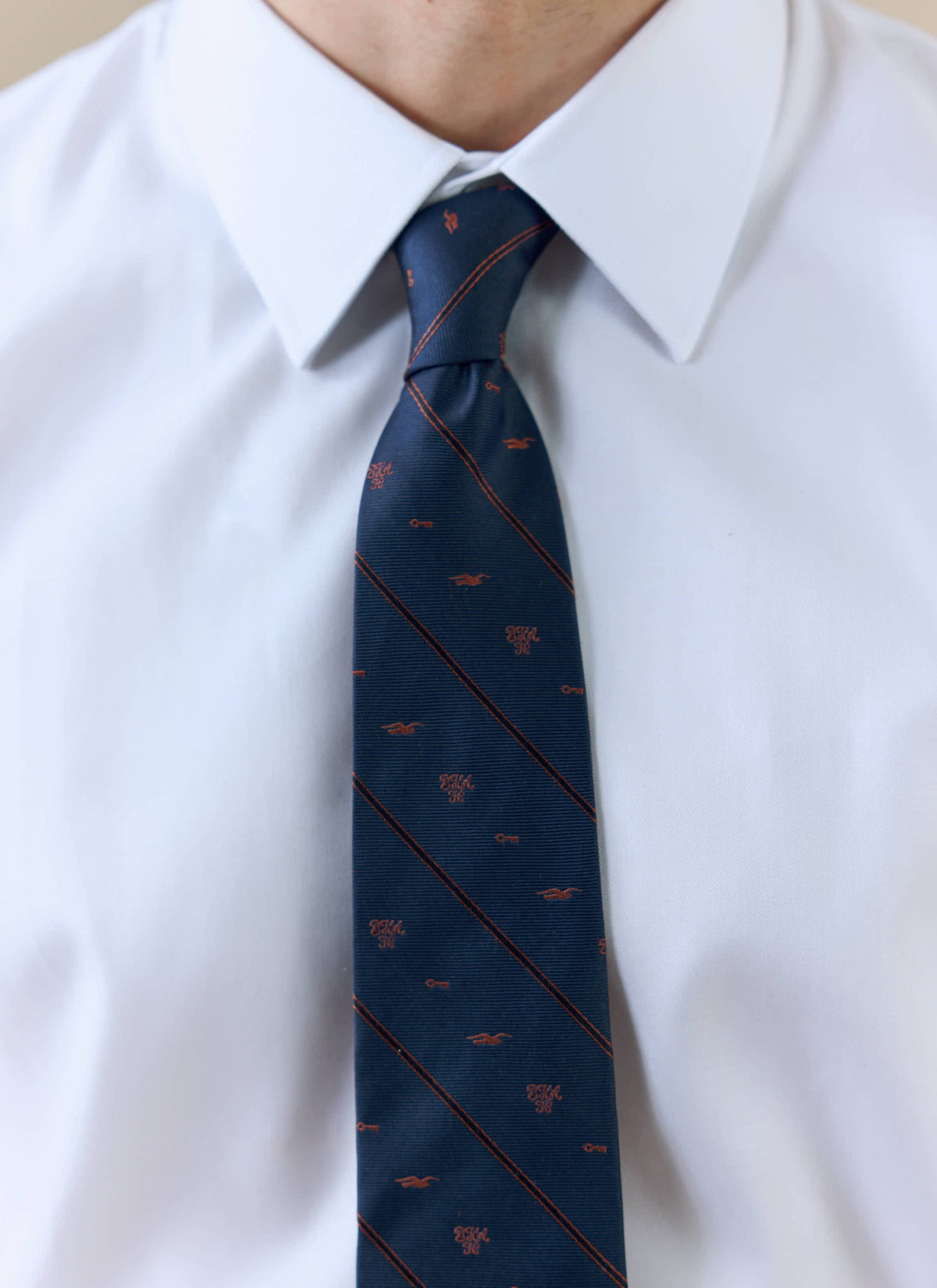 Men's Silk Tie - Jacquard Stripe x Brighton & Hove Albion F.C. - Navy | Percival